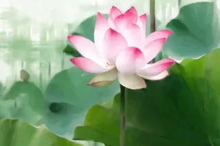 国风荷花水墨节气背景