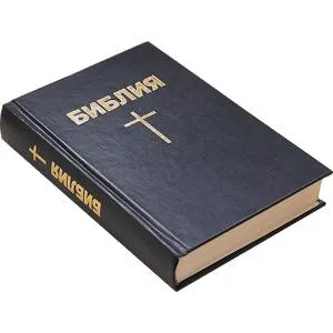 圣经 PNG免抠(300x300)