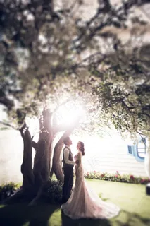 阳光下站在树下的幸福新人