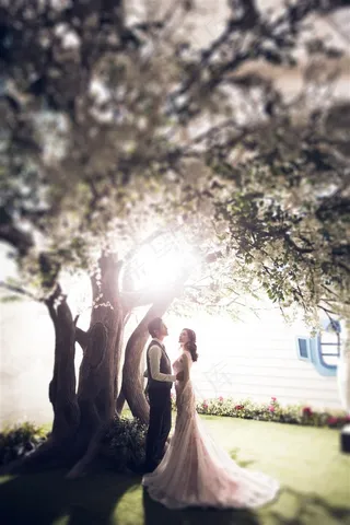 阳光下站在树下的幸福新人
