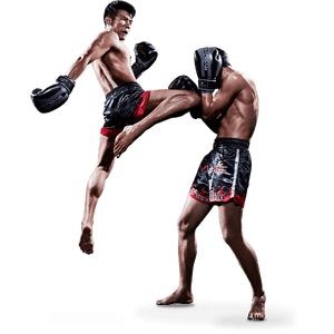 泰拳 PNG免抠(300x300)