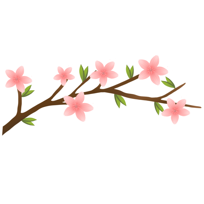春天浪漫粉红色樱花手绘樱花梅花桃花花朵图片PNG免扣素材