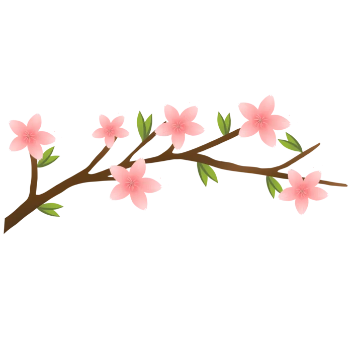 春天浪漫粉红色樱花手绘樱花梅花桃花花朵图片PNG免扣素材