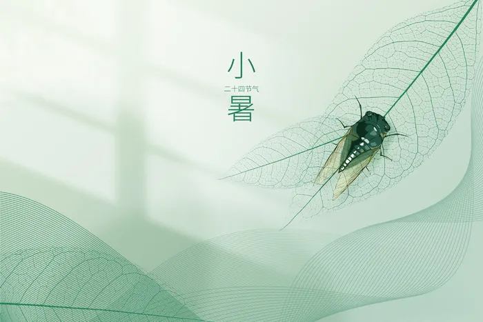 清新小暑背景