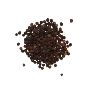 黑胡椒 PNG免抠