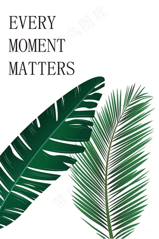 植物叶子插画装饰画