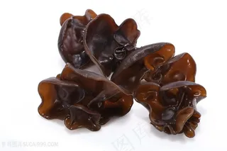 有机黑木耳白底图