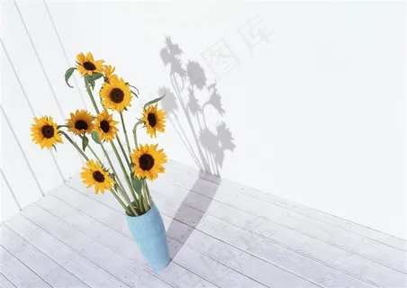 白色木地板向日葵插花现代简约家居室内图片素材 白色木地板向日葵插花现代简约家居室内图片素材