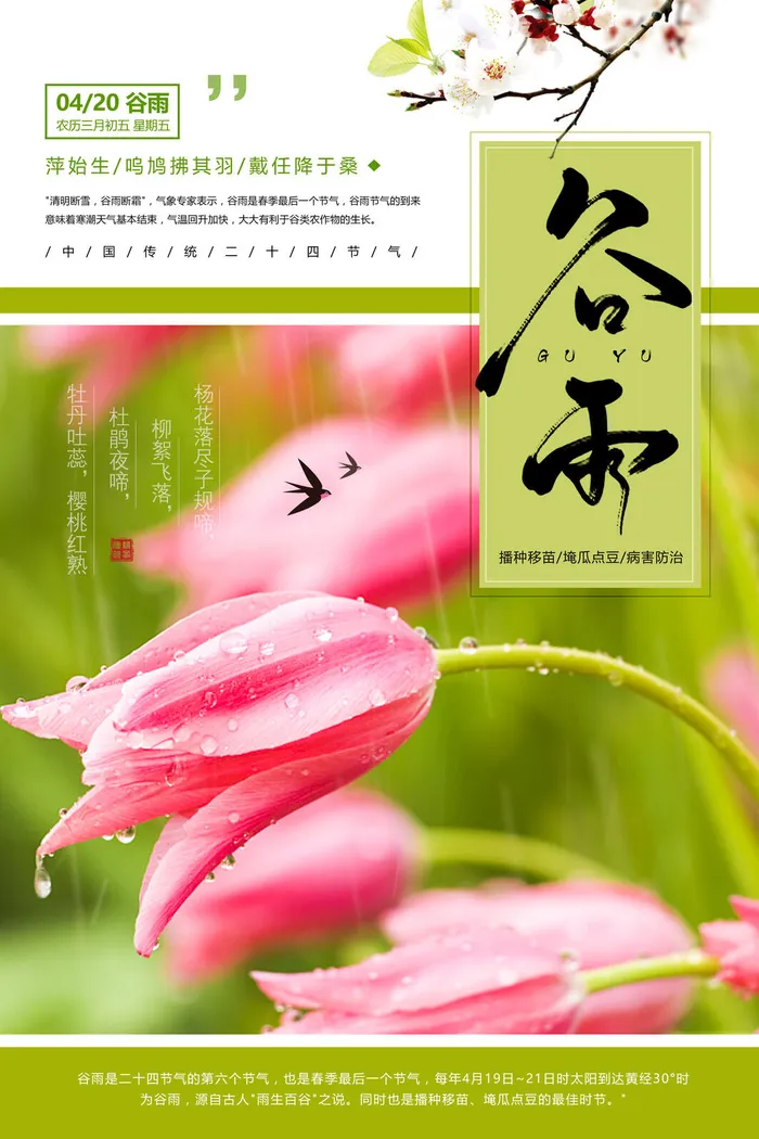 谷雨二十四节气海报设计