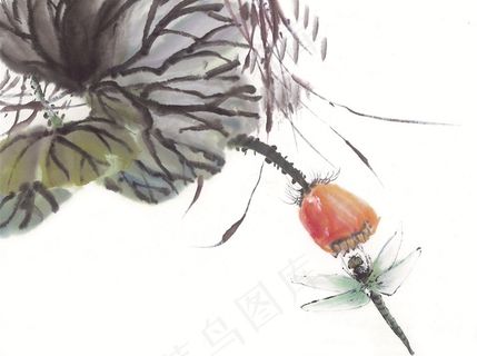 昆虫花草绘画jpg素材