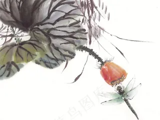 昆虫花草绘画jpg素材