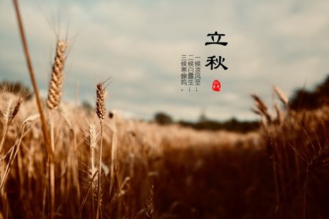 24节气立秋图片