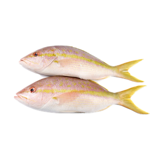 鱼类(25)海鲜超市商品红酒白底图免抠实物摄影png格式图片透明底