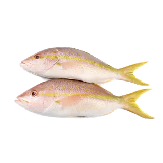 鱼类(25)海鲜超市商品红酒白底图免抠实物摄影png格式图片透明底