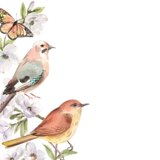 插画春鸟免抠素材