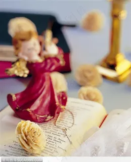 情人节物语-书本上的玫瑰干花