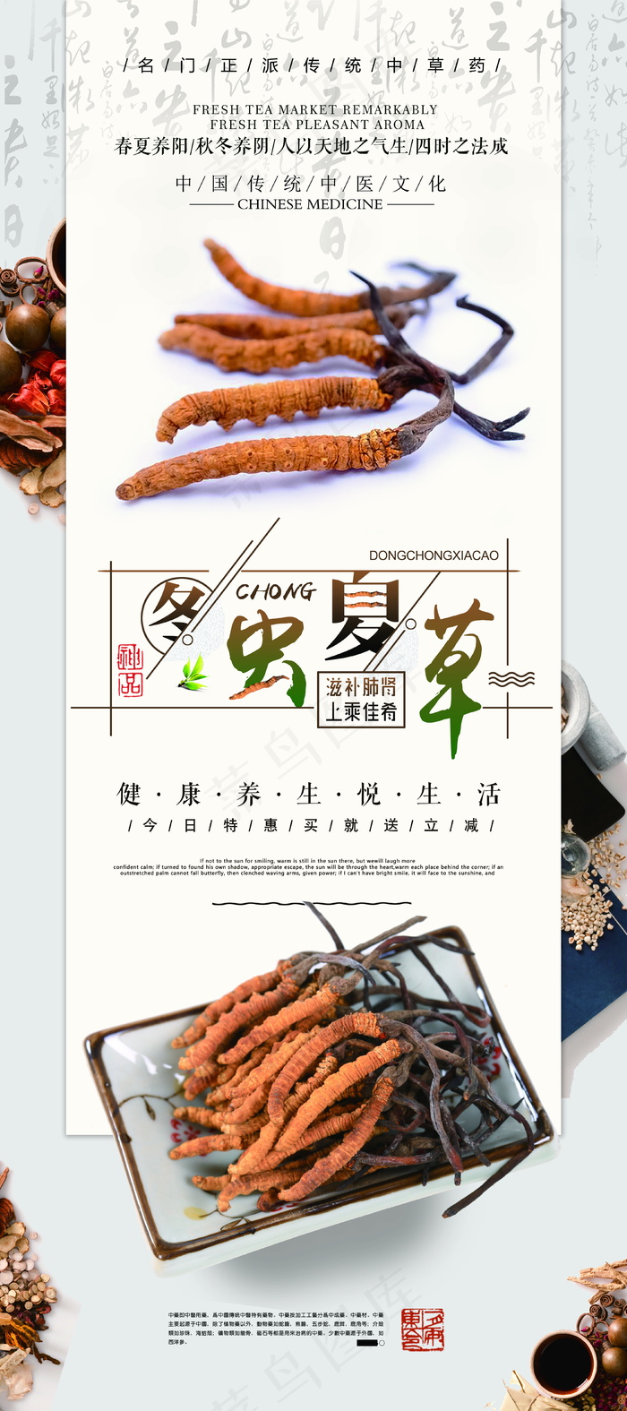 冬虫夏草 门展架psd模版下载