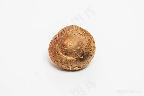 香菇食材食物实物
