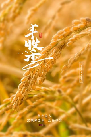 简洁丰收节活动宣传海报