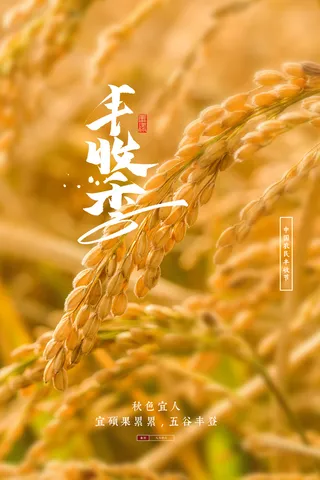 简洁丰收节活动宣传海报