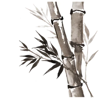 竹子水墨画中国风国画墨水书法竹子画