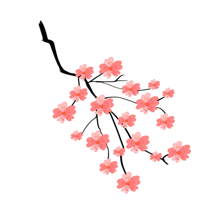 春天浪漫粉红色樱花手绘樱花梅花桃花花朵图片PNG免扣素材
