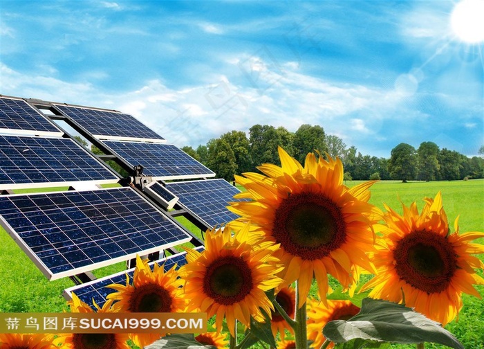 保护环境系列 - 太阳能和向日葵