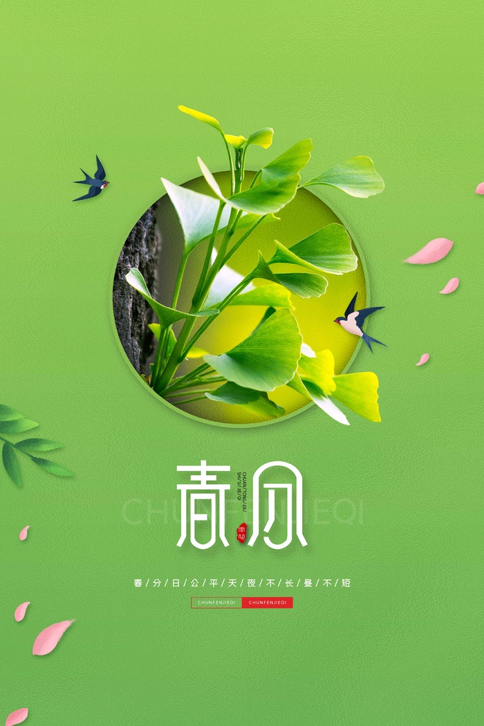 春分 春分促销海报psd模版下载