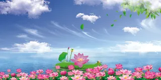 蓝天白云荷花背景