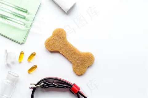 红色项圈和针具 红色项圈和针具