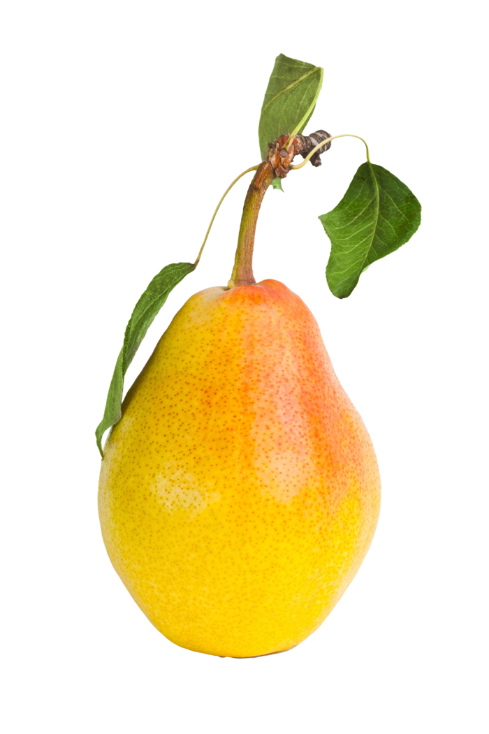 梨 (8)水果超市商品白底图免抠实物摄影png格式图片透明底
