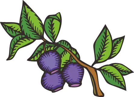 卡通动漫动画梅子水果海报名片免扣图片素材矢量图