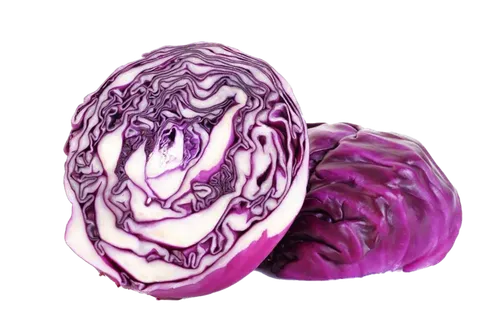 免抠实物紫包菜