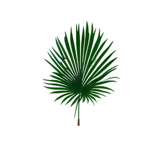 棕叶绿叶树叶免抠