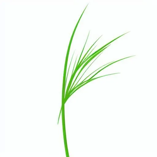 一支草png免抠(2048x2048)