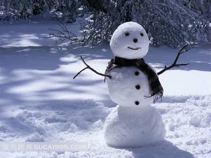 站在雪地里的雪人