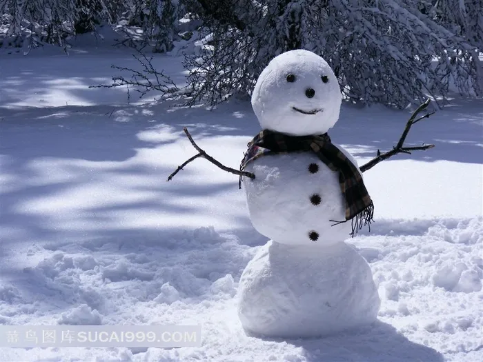 站在雪地里的雪人