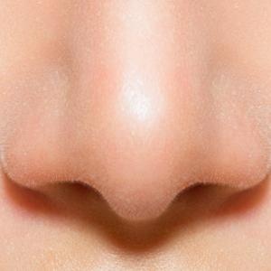 人的鼻子 PNG免抠(300x300)
