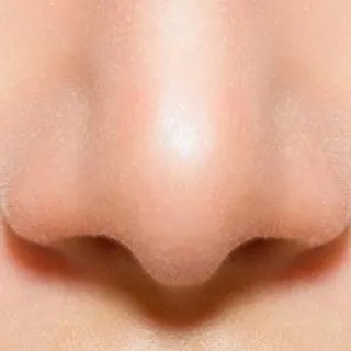 人的鼻子 PNG免抠