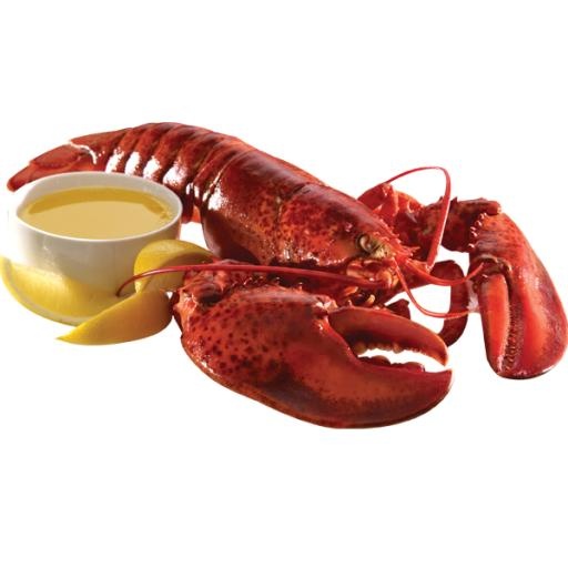 龙虾 PNG免抠(600x600)