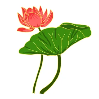 国潮中国风手绘荷花莲花荷叶莲藕植物花卉装饰插画PSD设计素材