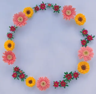 鲜花相框素材图片下载