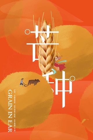 芒种 芒种营销设计