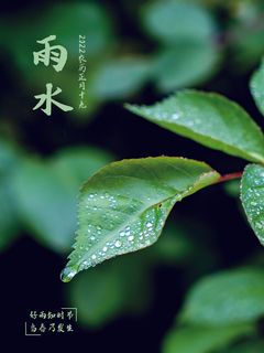 创意24节日二十四节气雨水春节春天宣传祝福海报模板PSD设计素材