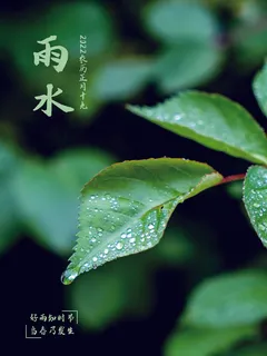 创意24节日二十四节气雨水春节春天宣传祝福海报模板PSD设计素材 创意24节日二十四节气雨水春节春天宣传祝福海报模板PSD设计素材