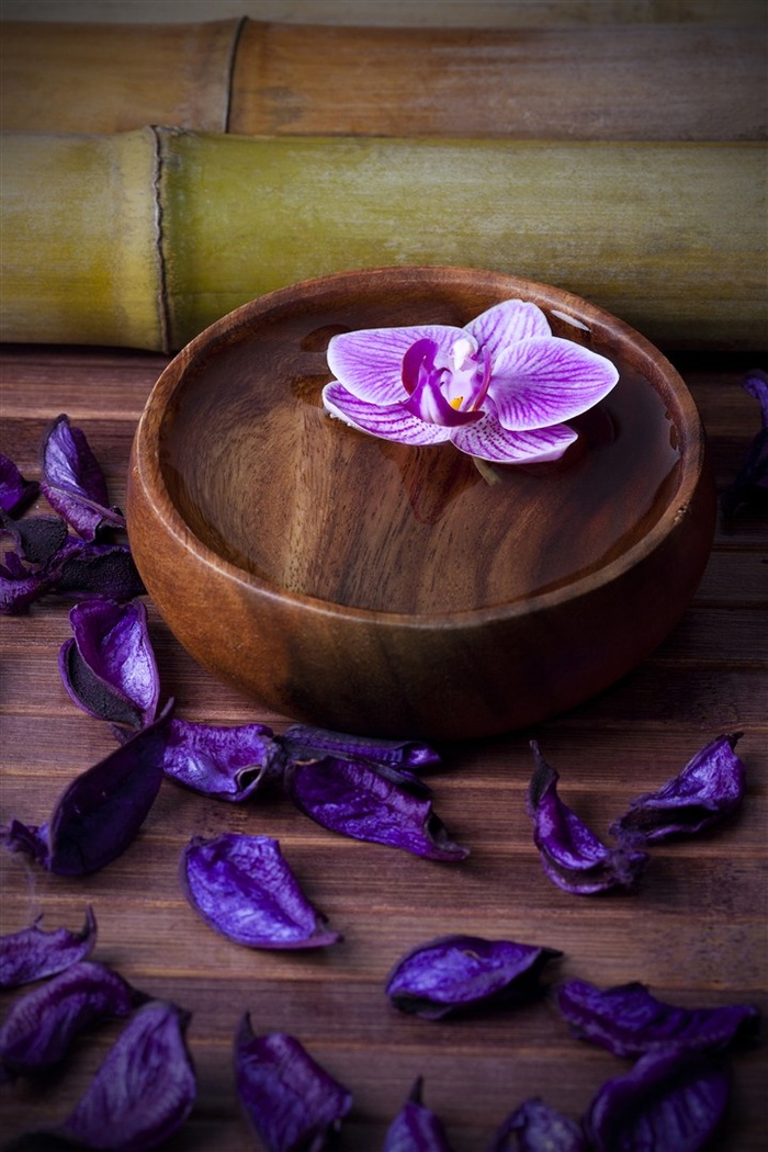 竹筒竹碗与玫瑰花瓣