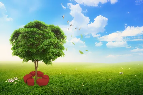 高清创意绿色环保背景图片公益海报展板宣传PSD分层平面设计素材