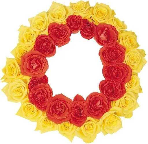 花框 PNG免抠(1269x1236)