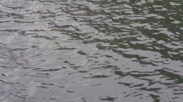 美人鱼, 哥本哈根, 阿里尔, 地标, 观光, 水, 青铜