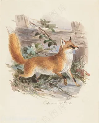 狐狸油画图片